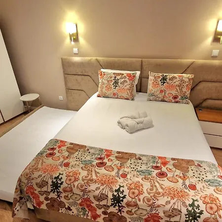 Cidadela Do Viriato Standard