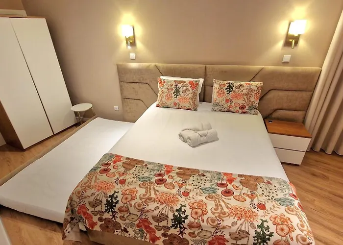 Cidadela Do Viriato Standard